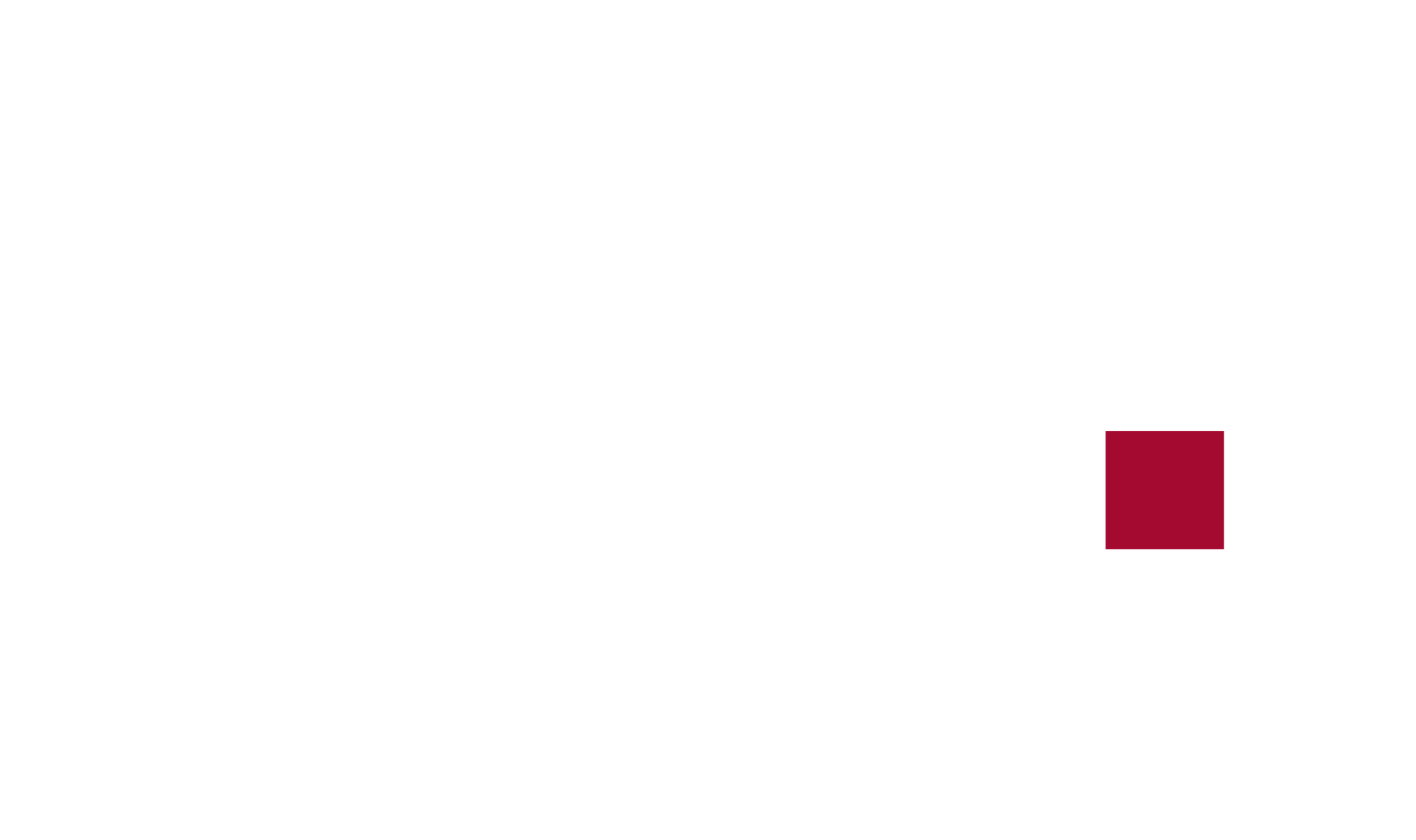 BMZ Logo